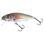Perch